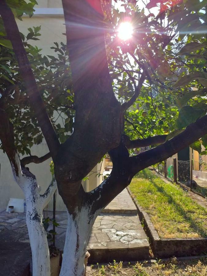 Villa Rosa Garden House Corfu  Exteriér fotografie