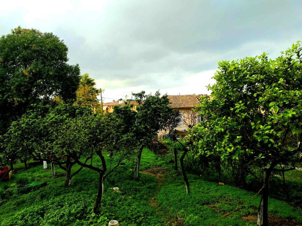 Villa Rosa Garden House Corfu  Exteriér fotografie